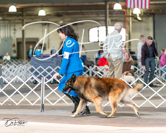 20240329-DSC05585