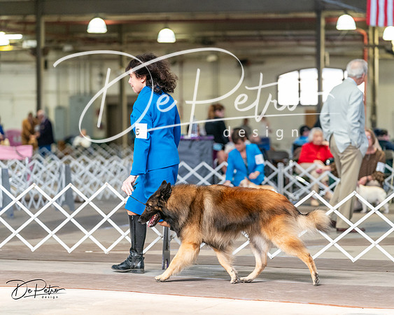 20240329-DSC05589