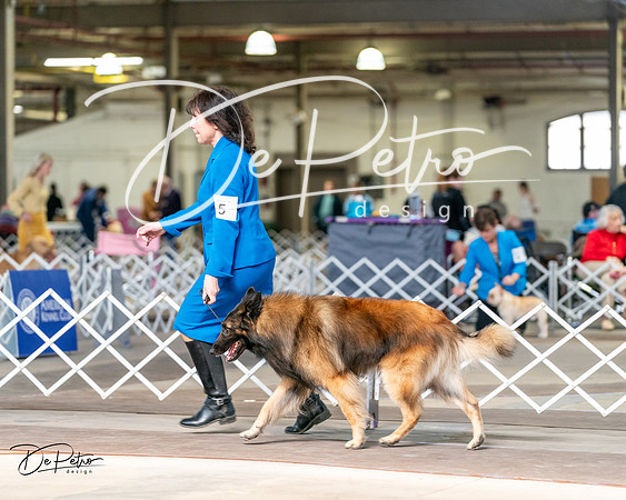 20240329-DSC05593