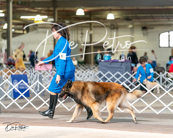 20240329-DSC05594