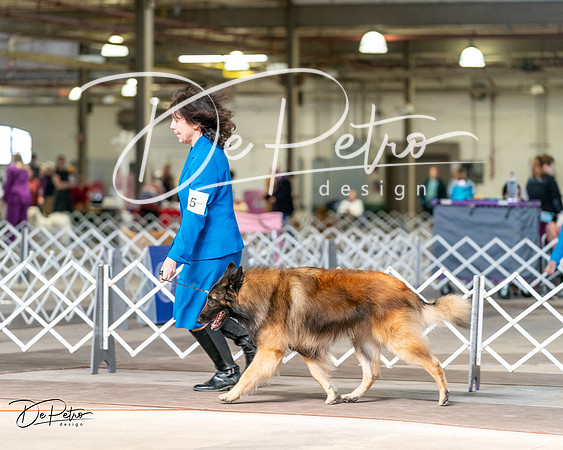 20240329-DSC05598