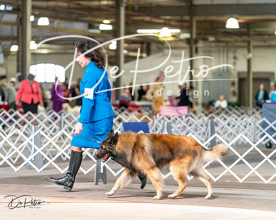 20240329-DSC05602