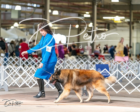 20240329-DSC05607