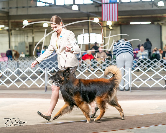 20240329-DSC05635