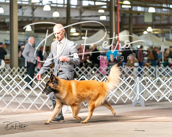 20240329-DSC05630