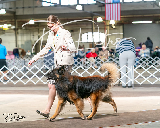 20240329-DSC05636
