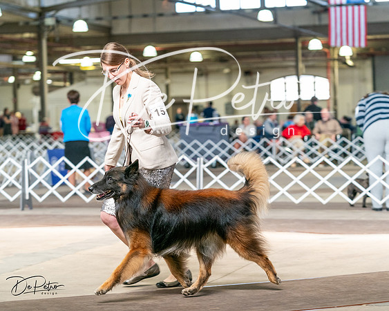 20240329-DSC05640