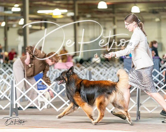 20240329-DSC05655