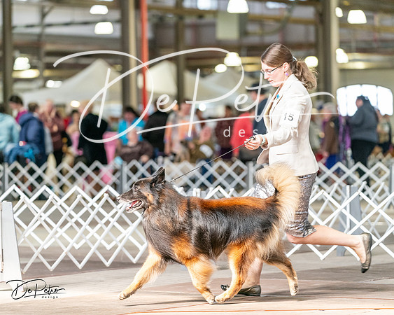 20240329-DSC05673