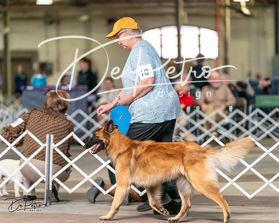 20240329-DSC05679
