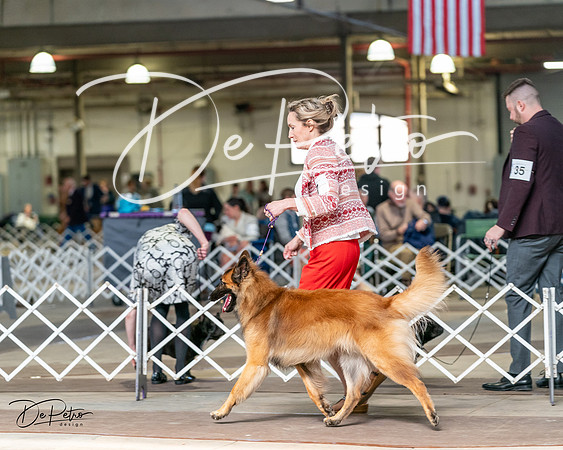 20240329-DSC05709