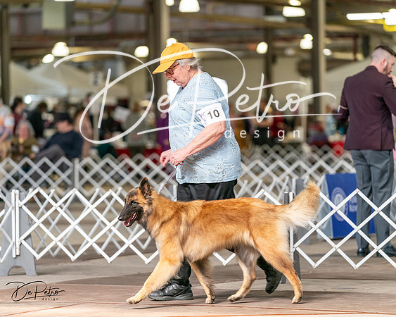 20240329-DSC05703