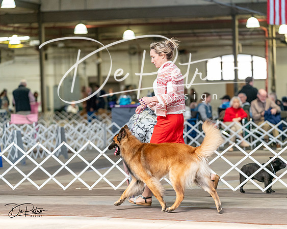 20240329-DSC05713