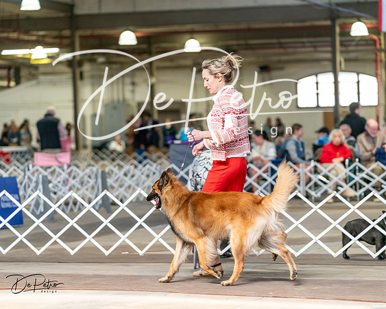 20240329-DSC05714