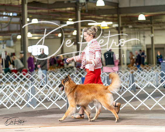 20240329-DSC05726