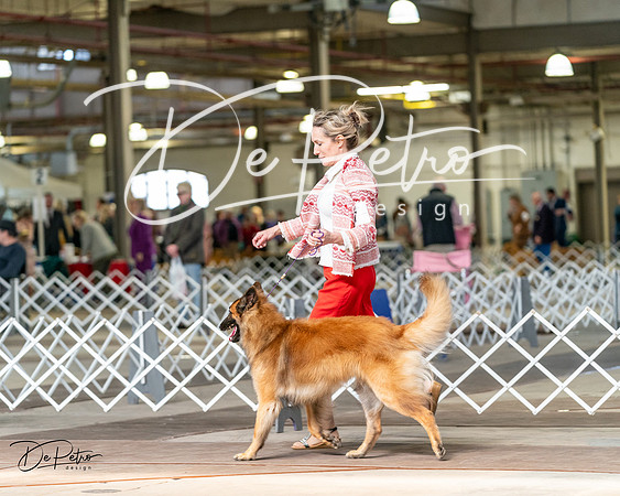 20240329-DSC05727