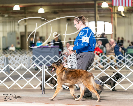 20240329-DSC05735