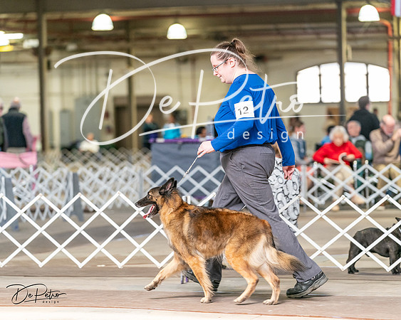20240329-DSC05738