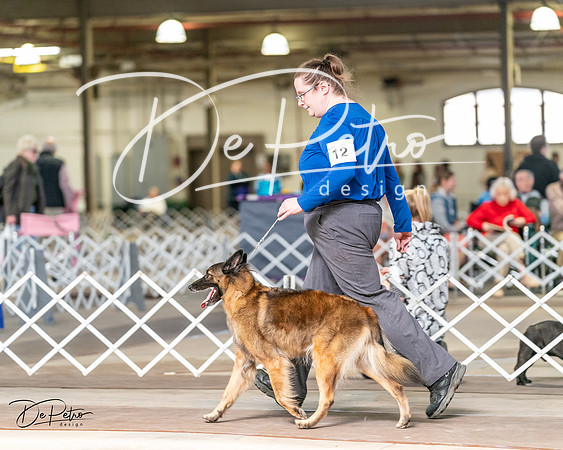 20240329-DSC05739