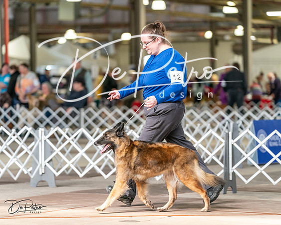 20240329-DSC05746