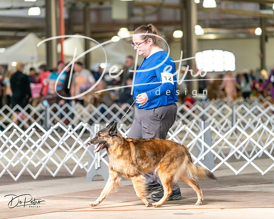 20240329-DSC05750