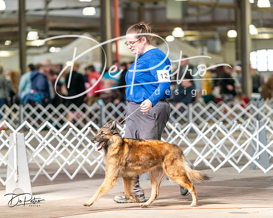 20240329-DSC05754
