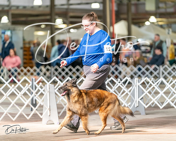 20240329-DSC05758
