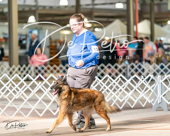 20240329-DSC05762