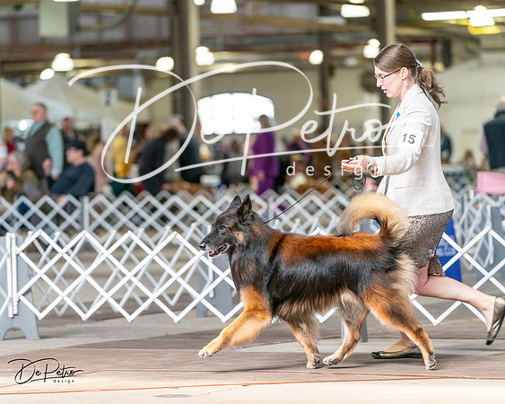 20240329-DSC05768