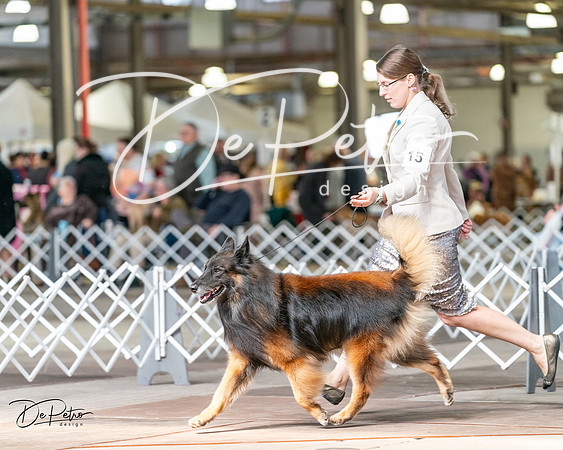20240329-DSC05773