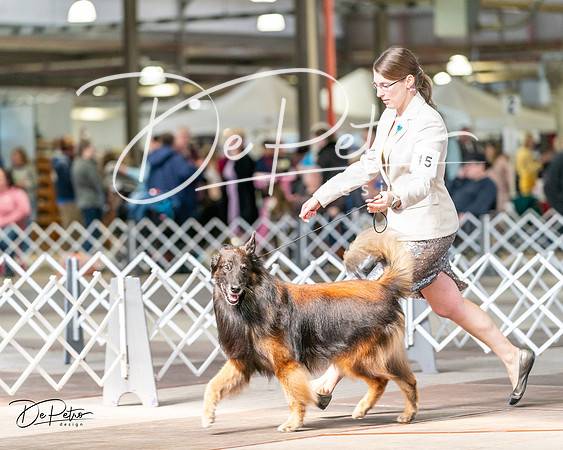 20240329-DSC05780
