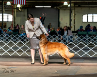 20240329-DSC05225