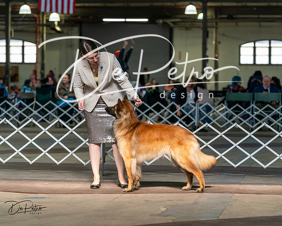 20240329-DSC05225
