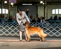 20240329-DSC05226