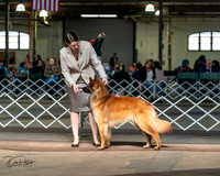 20240329-DSC05227