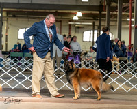 20240329-DSC05232