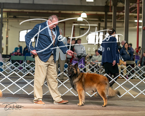 20240329-DSC05232