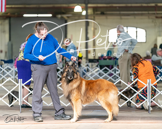 20240329-DSC05359