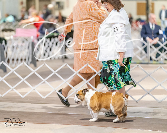 20240330-DSC05797