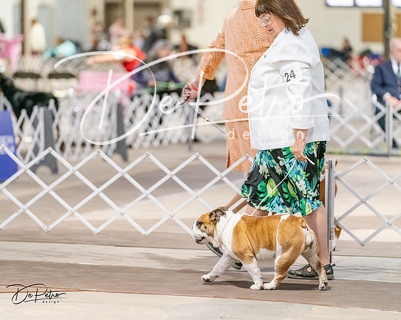 20240330-DSC05799