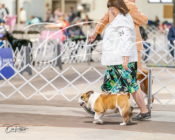 20240330-DSC05801