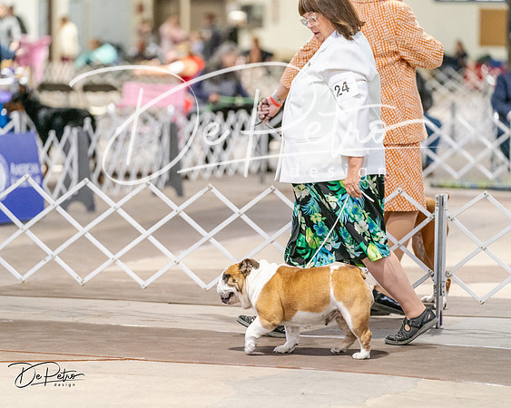 20240330-DSC05802