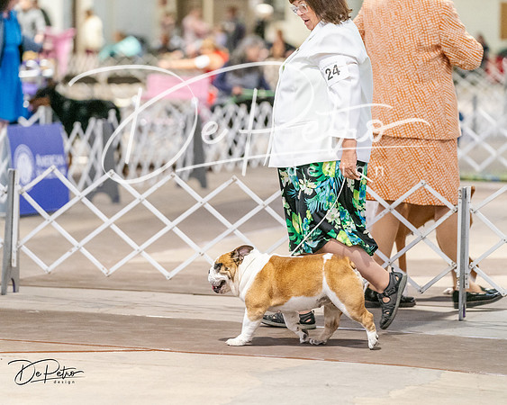 20240330-DSC05804