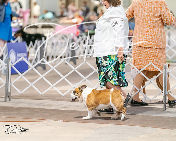 20240330-DSC05805