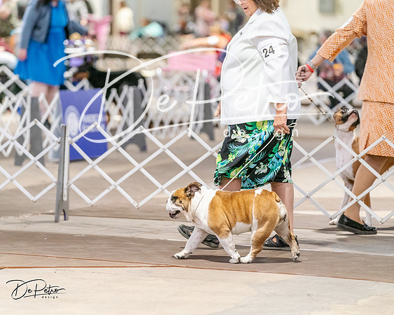 20240330-DSC05808
