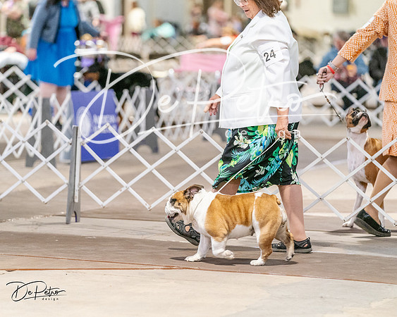 20240330-DSC05809