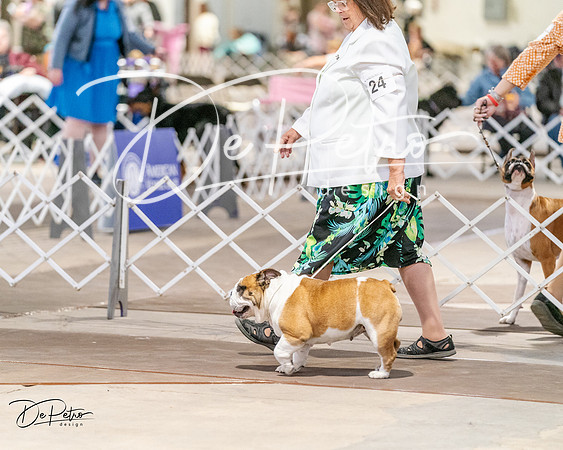 20240330-DSC05810