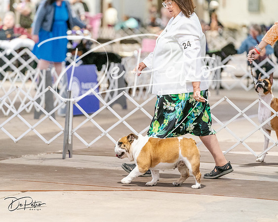 20240330-DSC05811