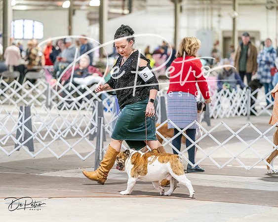 20240330-DSC05814