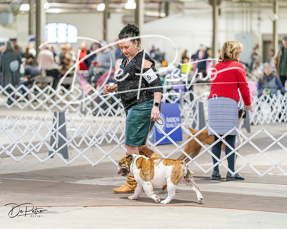 20240330-DSC05818